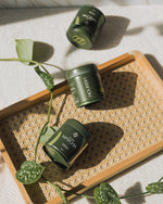 Кутии японска матча NOURISH Окумидори